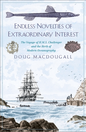 Endless Novelties of Extraordinary Interest Endless Novelties of Extraordinary Interest
