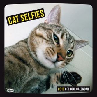 Cat Selfies 2018