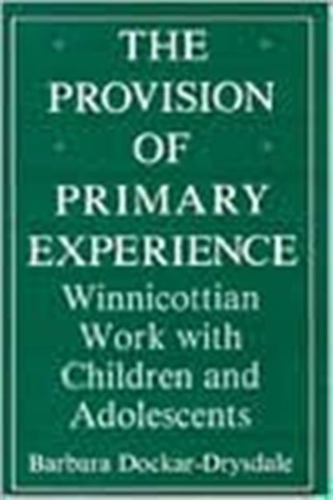 The Provision of Primary Experience
