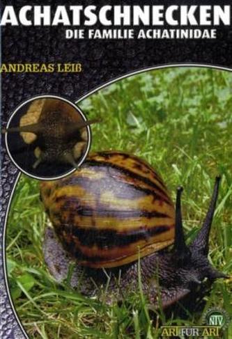 Achatschnecken