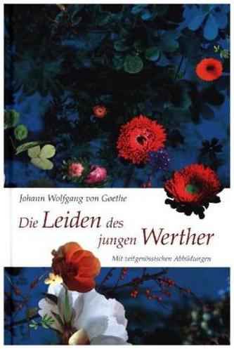 Die Leiden des jungen Werther