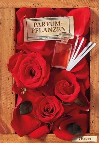 Parfümpflanzen Parfümpflanzen