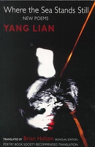 Where the Sea Stands Still