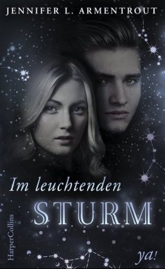Im leuchtenden Sturm Im leuchtenden Sturm