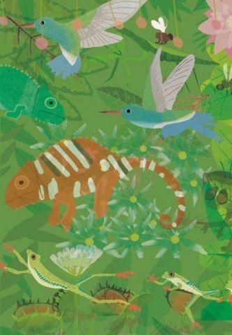 ErlebnisWelt Natur - Regenwald