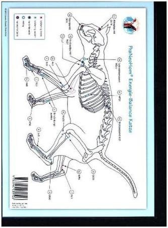 Akupunktur-Tafel Katze