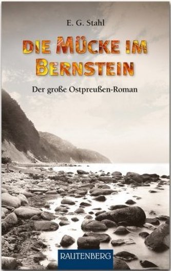 Die Mücke im Bernstein