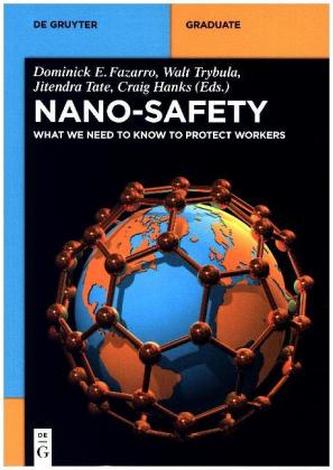 Nano-Safety