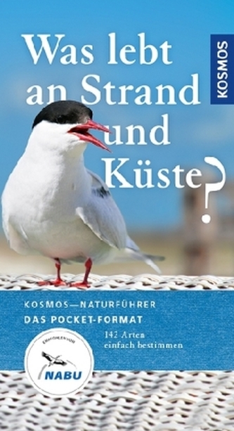 Was lebt an Strand und Küste?