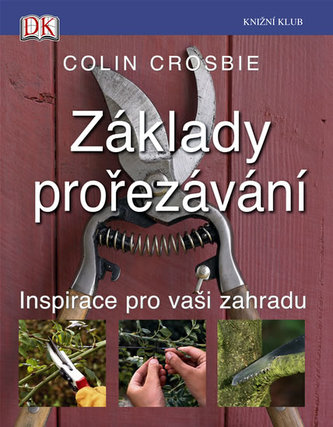 Základy prořezávání