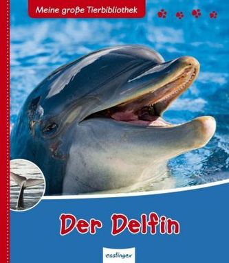 Der Delfin