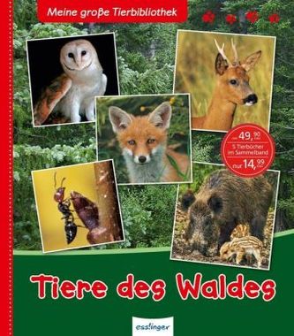 Tiere des Waldes