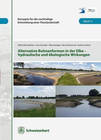 Alternative Buhnenformen in der Elbe - hydraulische und ökologische Wirkungen Alternative Buhnenformen in der Elbe - hydraulische und ökologische Wirkungen