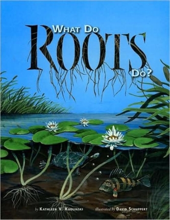 What Do Roots Do? What Do Roots Do?