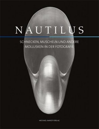 Nautilus