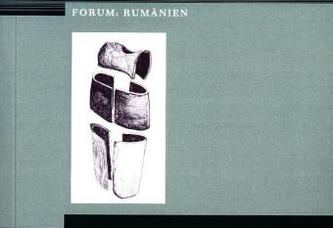 Den Körper schreiben - Poetiken des Körpers in der Prosa der rumänischen Moderne