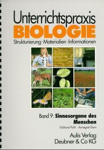 Sinnesorgane des Menschen