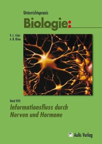 Informationsfluss durch Nerven und Hormone