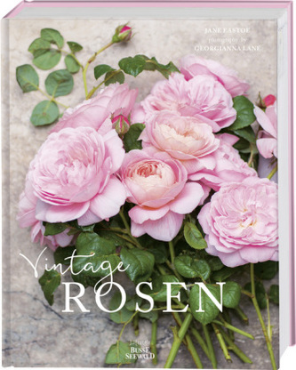 Vintage Rosen Vintage Rosen