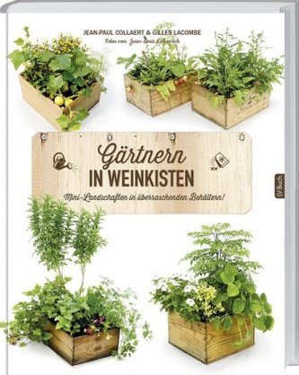 Gärtnern in Weinkisten