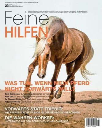 Was tun, wenn mein Pferd nicht vorwärts will?