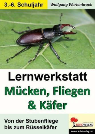 Lernwerkstatt Mücken, Fliegen und Käfer