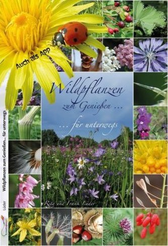 Wildpflanzen zum Genießen... für unterwegs Wildpflanzen zum Genießen... für unterwegs