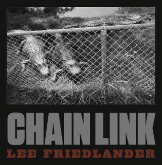 Chain Link Chain Link