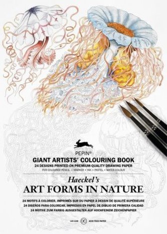 Haeckels Art Forms in Nature
