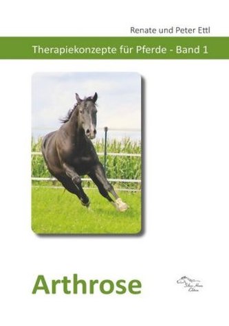 Arthrose Arthrose