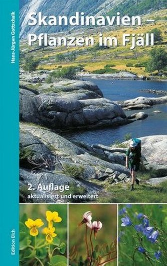 Skandinavien - Pflanzen im Fjäll Skandinavien - Pflanzen im Fjäll
