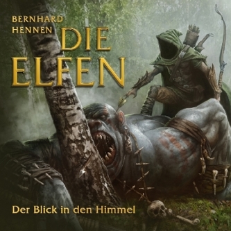 Die Elfen - Der Blick in den Himmel, 1 Audio-CD