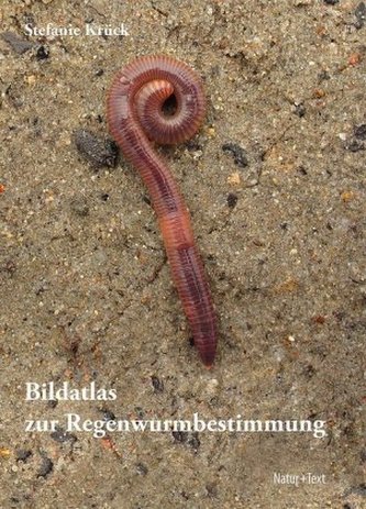 Bildatlas zur Regenwurmbestimmung Bildatlas zur Regenwurmbestimmung