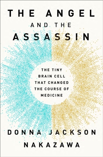 The Angel and the Assassin