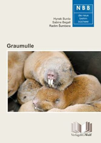 Graumulle