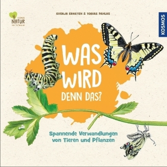 Was wird denn das? Was wird denn das?