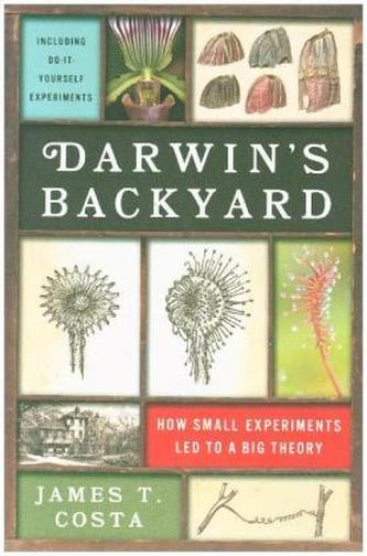 Darwin's Backyard Darwin's Backyard