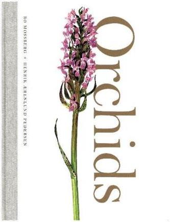 Orchids