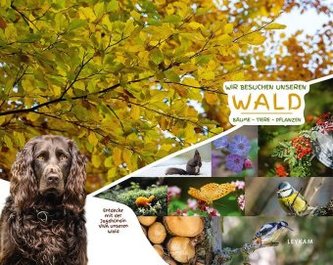 Wir besuchen unseren Wald