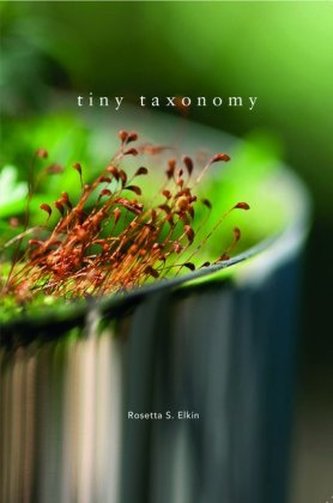Tiny Taxonomy