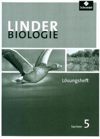 5. Schuljahr, Arbeitsheft Lösungen