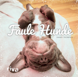 Faule Hunde Faule Hunde