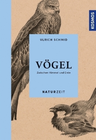 Vögel Vögel
