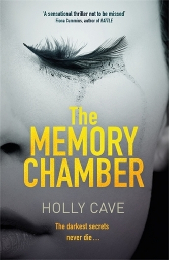 The Memory Chamber The Memory Chamber