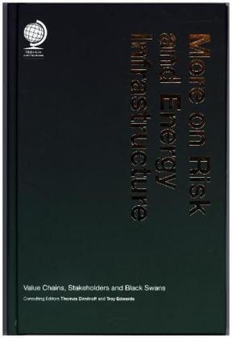 More on Risk and Energy Infrastructure