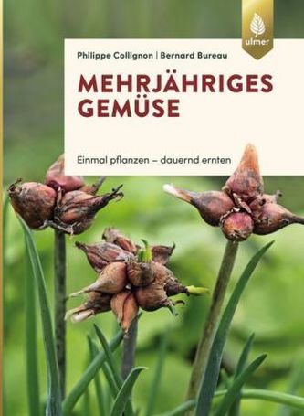 Mehrjähriges Gemüse Mehrjähriges Gemüse