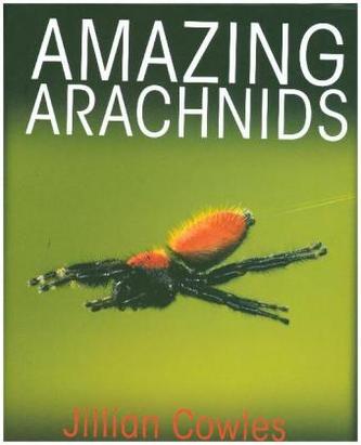 Amazing Arachnids