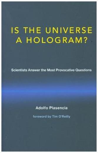 Is the Universe a Hologram?