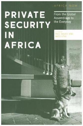 Private Security in Africa