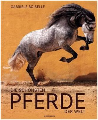 Die schönsten Pferde der Welt